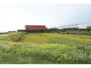 Terreno - Local