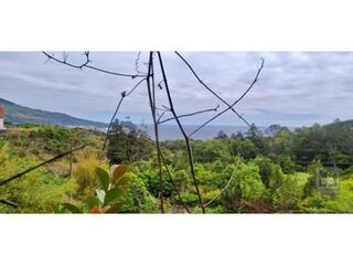 Moradia - Vista