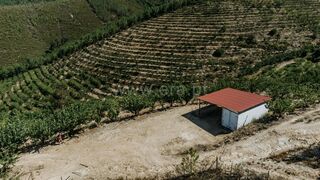 -611452754_quinta-estudio-fundao-castelejo_14_1_1452754_17801499_2_1_FWhBvoOJHD371TAon3ZtxmpaJJrVxUReTFYY9eXsckbEB8h4ZPpqcw_.jpg
