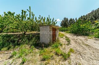 -611452754_quinta-estudio-fundao-castelejo_14_1_1452754_18098677_2_1_v0083M5wRhK5iH4rE4ZHW7spLgHmCnejtsh92czYIIPEB8h4ZPpqcw_.jpg