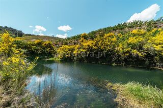 -611452754_quinta-estudio-fundao-castelejo_14_1_1452754_18098713_2_1_uHi3FfhXgq33CX2aRV6MkGmiE9dUwLEF7JGXzNI3efjEB8h4ZPpqcw_.jpg