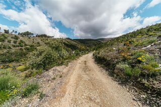 -611475737_terreno-covilha-sobral-de-sao-miguel_14_1_1475737_18079616_2_1_lnUUUn6eH6X5RklM7J1hc6BFqEniEwyu8dJZPM5VTrzEB8h4ZPpqcw_.jpg