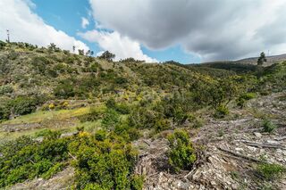 -611475737_terreno-covilha-sobral-de-sao-miguel_14_1_1475737_18079622_2_1_9EaoZ9IzBUGpQopkLOJRWfk1W7fddWpXK8fUrL1GARPEB8h4ZPpqcw_.jpg