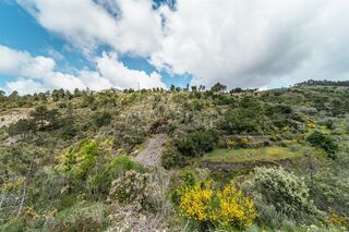 -611475737_terreno-covilha-sobral-de-sao-miguel_14_1_1475737_18079651_2_1_GUWHiCUi_2fjFLH1weBbrBEXZcr3MvuQ8MDUvj5i6h_2fzjEB8h4ZPpqcw_.jpg