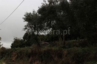-610774918_quinta-fundao-aldeia-de-joanes_14_1_774918_10721030_2_1_PC07gPAvHh1XixHu_2fcu3684u9EJWmW3vXPM3se472BfEB8h4ZPpqcw_.jpg