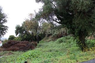 -610774918_quinta-fundao-aldeia-de-joanes_14_1_774918_10721032_2_1_Jih0g7I_2bEu9Xv0i9U_2fUpqKUrT5_2f1M7CuDMNrSoEM6p3EB8h4ZPpqcw_.jpg