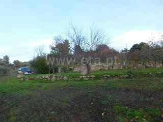 -610964504_quinta-t1-fundao-orca_14_1_964504_14926522_2_1_nVkDdaVxwn0ySevvmS2vjfT_2fCrWfIohEC4OWgO4JlRXEB8h4ZPpqcw_.jpg