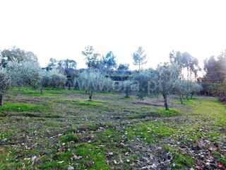 -610964504_quinta-t1-fundao-orca_14_1_964504_14926527_2_1_K_2fkXoxy3nXytzARfPhNcILTl2ky7fzNDiPPzJrWAgOfEB8h4ZPpqcw_.jpg