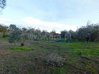 -610964504_quinta-t1-fundao-orca_14_1_964504_14926528_2_1_2Sg9d1Z_2fST5w48cN2CUSUPzPYUOp0b8sNaqEvuZkijfEB8h4ZPpqcw_.jpg