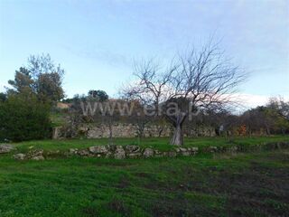 -610964504_quinta-t1-fundao-orca_14_1_964504_14926529_2_1_u68sVLOFY3h1hrpxOPlQTc3HE1SBrnkRqep1HZlH4_2fzEB8h4ZPpqcw_.jpg