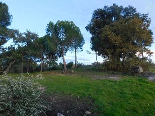 -610964504_quinta-t1-fundao-orca_14_1_964504_14926530_2_1_42sqq_2fEqnXtETzZZ8Y6buz3srAHS_2fKKwZmhe2RsRhj3EB8h4ZPpqcw_.jpg