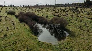 -611436132_quinta-estudio-fundao-atalaia-do-campo_14_1_1436132_17894245_2_1_8A1lNdNbD0TKfb_2f71P_2fFaSTzCXcr395iEKmwCCYmw5HEB8h4ZPpqcw_.jpg