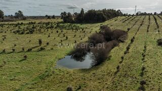 -611436132_quinta-estudio-fundao-atalaia-do-campo_14_1_1436132_17894246_2_1_xbSV7MVXsyc3hAXWISdr_2f3kejx5bZaNSKGFJ_2fXUXUHjEB8h4ZPpqcw_.jpg