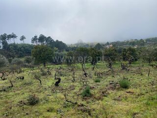 -611464816_quintinha-t2-fundao-vale-prazeres_14_1_1464816_17911703_2_1_b_2fjXruTsYRcf2fg3D4ufqBzBLljjRx3Zljq1vA3541zEB8h4ZPpqcw_.jpg