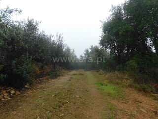 -611468096_terreno-rustico-fundao-vales-pero-viseu_14_1_1468096_17951073_2_1_yWrYi2Y8yCaq9oODj9I9RtHRlbe2w3j5vH8StcuasU3EB8h4ZPpqcw_.jpg