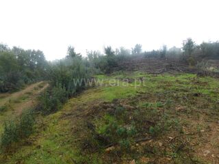 -611468096_terreno-rustico-fundao-vales-pero-viseu_14_1_1468096_17951075_2_1_9SYRPx2DlmqOpoO_2f18mbrbtpi6wNERdJwj05sBlO0VrEB8h4ZPpqcw_.jpg