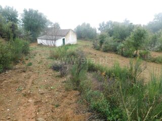 -611468096_terreno-rustico-fundao-vales-pero-viseu_14_1_1468096_17951087_2_1_UImrGkhVmWhTJ5j_2bcVZPAnCItXpZSYi8bL3ySJhskALEB8h4ZPpqcw_.jpg