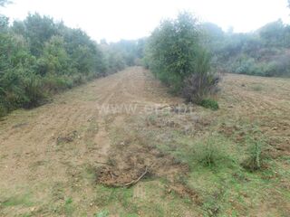 -611468096_terreno-rustico-fundao-vales-pero-viseu_14_1_1468096_17951090_2_1_tDq7bPK_2fkvEDAT4vUQlG2cXEBnlrvk1Zh3urOAuB9CbEB8h4ZPpqcw_.jpg