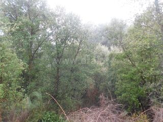-611468096_terreno-rustico-fundao-vales-pero-viseu_14_1_1468096_17951093_2_1_UPG0gy6Tb7RoUl9DOdvTfnIEvBG54BupH_2by0992U80LEB8h4ZPpqcw_.jpg