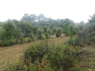 -611468096_terreno-rustico-fundao-vales-pero-viseu_14_1_1468096_17951095_2_1_zoPz7y_2fCmKlg3COcc3hN5zTARmM6CTUlKiO7p1vVnhPEB8h4ZPpqcw_.jpg