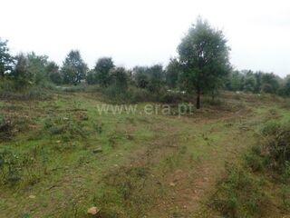 -611468096_terreno-rustico-fundao-vales-pero-viseu_14_1_1468096_17951096_2_1_SnEdZYSW7xPR11UipxNJgxmIkfUjPZNCXorABdoKBcjEB8h4ZPpqcw_.jpg