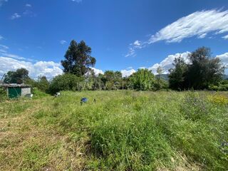 -611479889_quinta-t1-fundao-aldeia-de-joanes_14_1_1479889_18077917_2_1_tHsPbOOXyfB_c2_a7dBi9bwx53FhpmJotUf9vtSO5wpYUafEB8h4ZPpqcw_.jpg