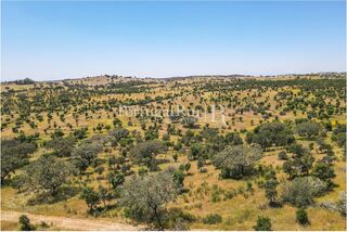 -205307333_IDf3b30a01-0000-0500-0000-0000136532f5.jpg