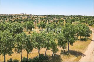-205307333_IDf3b30a01-0000-0500-0000-0000136532f7.jpg