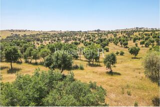 -205307333_IDf3b30a01-0000-0500-0000-0000136532f9.jpg