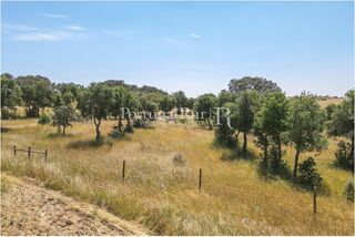 -205307333_IDf3b30a01-0000-0500-0000-000013653309.jpg