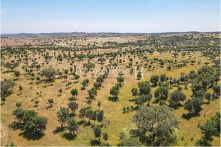 -205307333_IDf3b30a01-0000-0500-0000-000013653317.jpg