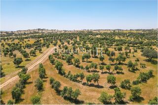 -205307333_IDf3b30a01-0000-0500-0000-00001365331c.jpg