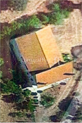 -213193703_ID2d919c01-0000-0500-0000-000015ad3d20.jpg