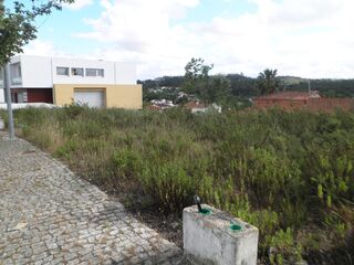 -199676208_IDde83b000-0000-0500-0000-000005ff3787.jpg