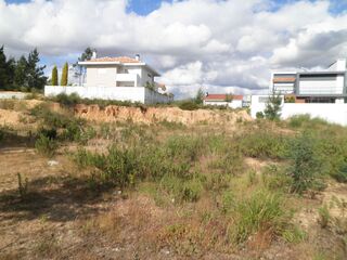 -199676208_IDde83b000-0000-0500-0000-000005ff3788.jpg