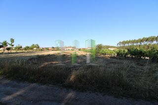 -209616101_ID90955901-0000-0500-0000-00000fc6904b.jpg