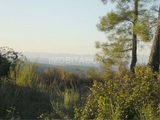 -211586038_IDf10f8401-0000-0500-0000-000013fd3418.jpg