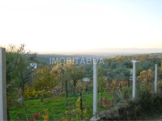 -211586038_IDf10f8401-0000-0500-0000-000013fd3419.jpg