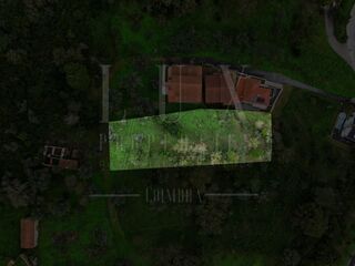 -211658580_IDa42e8401-0000-0500-0000-000014189552.jpg