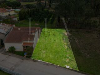 -213140695_ID618b8401-0000-0500-0000-000014a17dc2.jpg