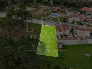 -213140695_ID618b8401-0000-0500-0000-000014a17df8.jpg