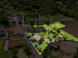 -213192927_IDac7a9101-0000-0500-0000-000015cc4875.jpg