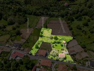 -213192927_IDac7a9101-0000-0500-0000-000015cc4894.jpg