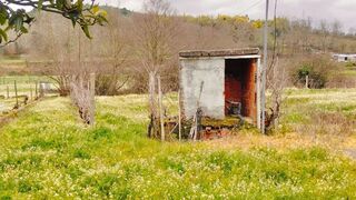 -28001350_408771740493098418ab52fb11bca349549c10c7630d01c3ce.jpg