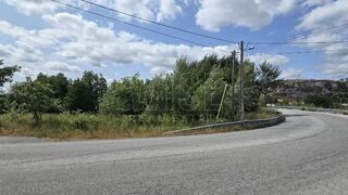 -28002303_1035011749050915281317d4c47ce0f4bd1aa582a9e4ccf32c4.jpg
