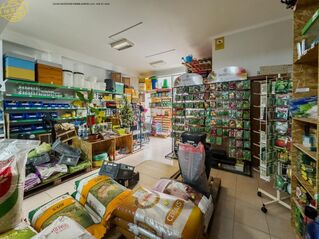 -706170228_a4sdeg59ryo7u352.jpg