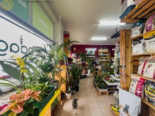 -706170228_wntjzpzglg60iij6.jpg