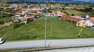 -706186205_k3oxk5kyib8h9pic.jpg