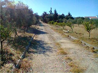 -199156200_ID4ea75100-0000-0500-0000-000002911da7.jpg
