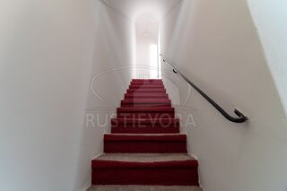 -209945600_ID8c656101-0000-0500-0000-0000107389db.jpg